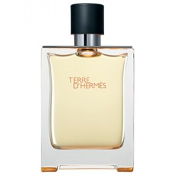 Hermes Terre D-hermes EDT 100 ml - ТЕСТЕР за мъже