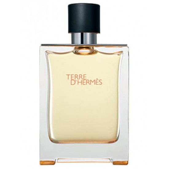Hermes Terre D-hermes EDP 100 ml - ТЕСТЕР за мъже
