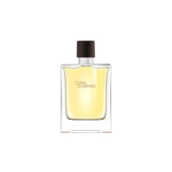 Hermes Terre D'hermes EDP 100 мл - ТЕСТЕР за Мъже