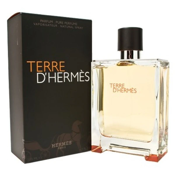 Hermes Terre D-hermes EDP 100 ml - Fragrance Bulgaria